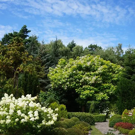 Kompleks Wypoczynkowy, Glamping Roza Wiatrow