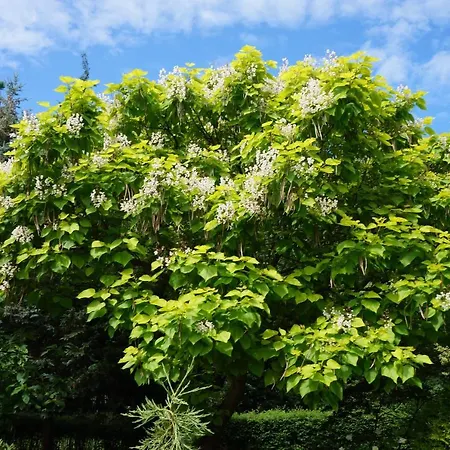 Kompleks Wypoczynkowy, Glamping Roza Wiatrow *